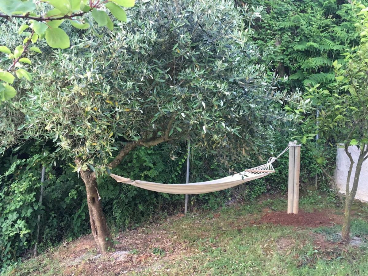 Vakantiehuis Chez Nikos *