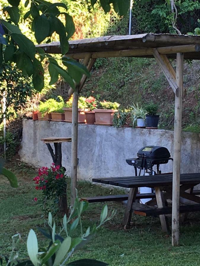 Chez Nikos Vakantiehuis